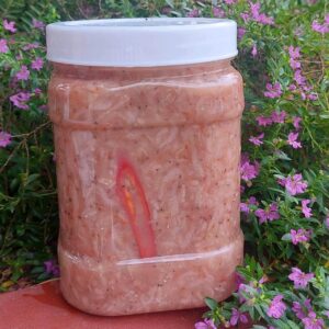Mắm ruốc chua mặn 1kg chấm thịt luộc, cá nướng, lòng luộc, cá chiên, cá hấp